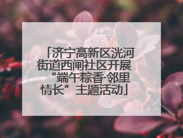 济宁高新区洸河街道西闸社区开展“端午粽香·邻里情长”主题活动