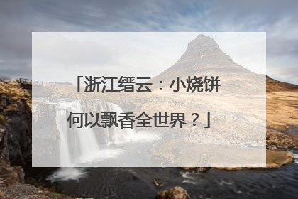 浙江缙云：小烧饼何以飘香全世界？