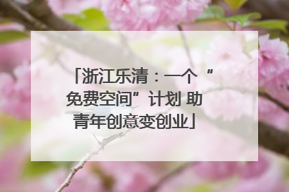 浙江乐清：一个“免费空间”计划 助青年创意变创业
