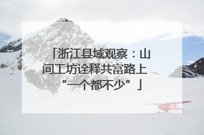 浙江县域观察：山间工坊诠释共富路上“一个都不少”