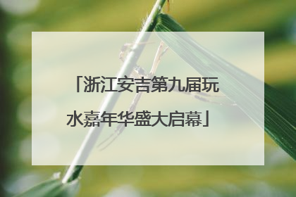 浙江安吉第九届玩水嘉年华盛大启幕