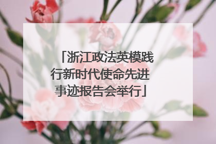 浙江政法英模践行新时代使命先进事迹报告会举行