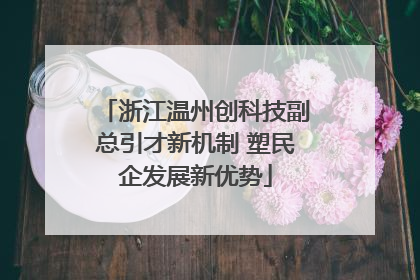 浙江温州创科技副总引才新机制 塑民企发展新优势