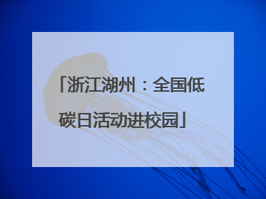 浙江湖州：全国低碳日活动进校园
