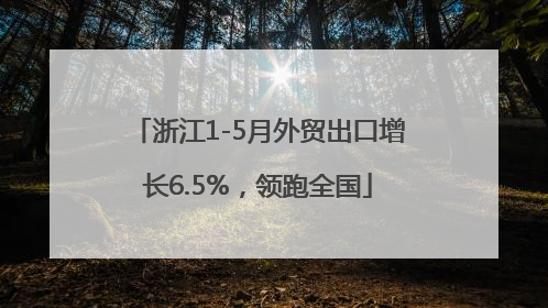 浙江1-5月外贸出口增长6.5%，领跑全国