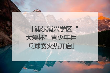 浦东浦兴学区“大爱杯”青少年乒乓球赛火热开启
