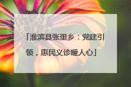 淮滨县张里乡：党建引领，惠民义诊暖人心