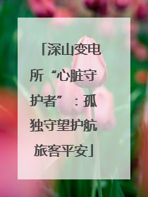 深山变电所“心脏守护者”：孤独守望护航旅客平安