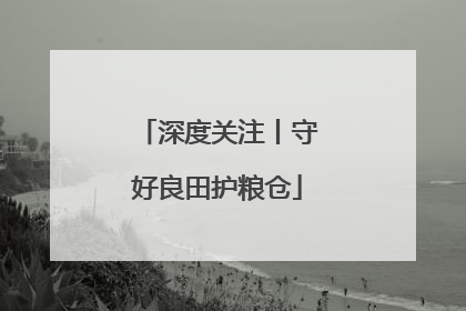 深度关注丨守好良田护粮仓