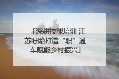 深耕技能培训 江苏盱眙打造“职”通车赋能乡村振兴