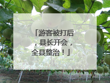 游客被打后，县长开会，全县整治！
