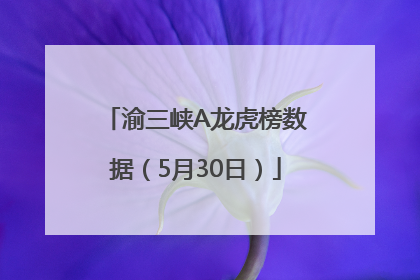 渝三峡A龙虎榜数据（5月30日）