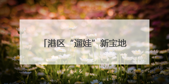 港区“遛娃”新宝地！我省首家洛嘉森乐园落地苑城文化公园