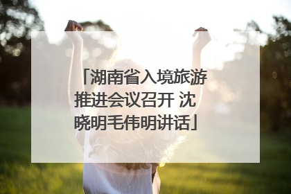 湖南省入境旅游推进会议召开 沈晓明毛伟明讲话