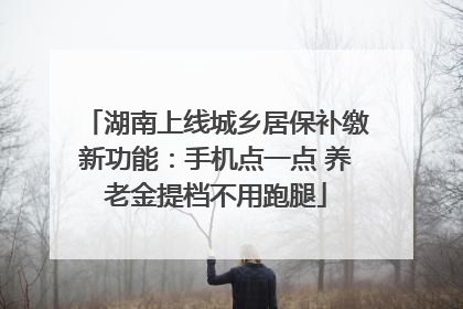 湖南上线城乡居保补缴新功能：手机点一点 养老金提档不用跑腿