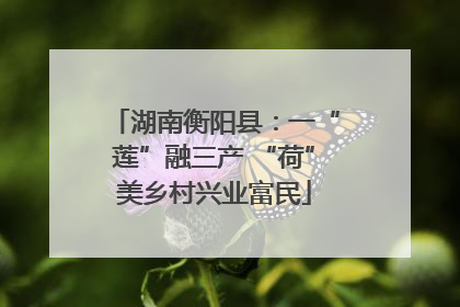 湖南衡阳县：一“莲”融三产 “荷”美乡村兴业富民