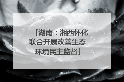 湖南：湘西怀化联合开展改善生态环境民主监督