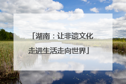 湖南：让非遗文化走进生活走向世界