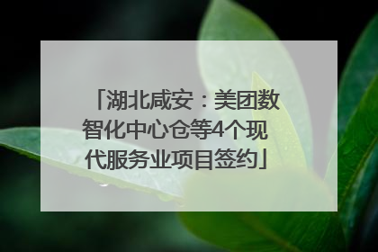 湖北咸安：美团数智化中心仓等4个现代服务业项目签约