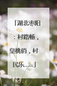 湖北枣阳：村路畅，皇桃俏，村民乐……