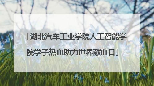 湖北汽车工业学院人工智能学院学子热血助力世界献血日