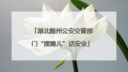 湖北随州公安交管部门“摆摊儿”话安全