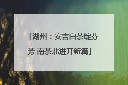 湖州：安吉白茶绽芬芳 南茶北进开新篇