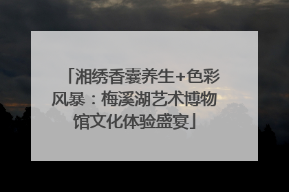 湘绣香囊养生+色彩风暴：梅溪湖艺术博物馆文化体验盛宴