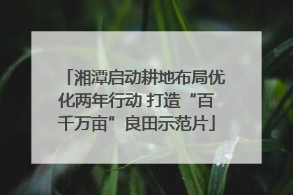 湘潭启动耕地布局优化两年行动 打造“百千万亩”良田示范片