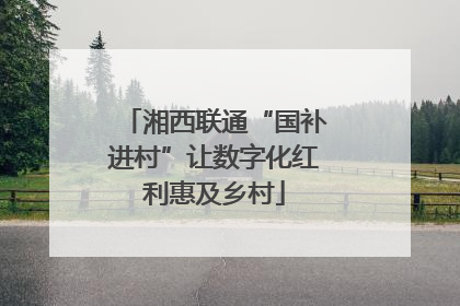 湘西联通“国补进村”让数字化红利惠及乡村