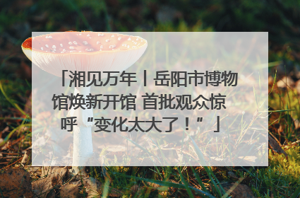湘见万年丨岳阳市博物馆焕新开馆 首批观众惊呼“变化太大了！”