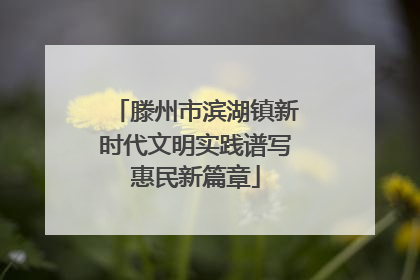 滕州市滨湖镇新时代文明实践谱写惠民新篇章