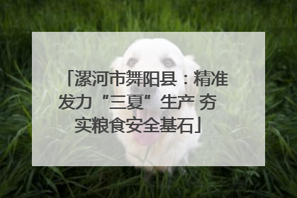 漯河市舞阳县：精准发力“三夏”生产 夯实粮食安全基石