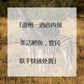 漳州一酒店内现一条活鳄鱼，警民联手快速处置