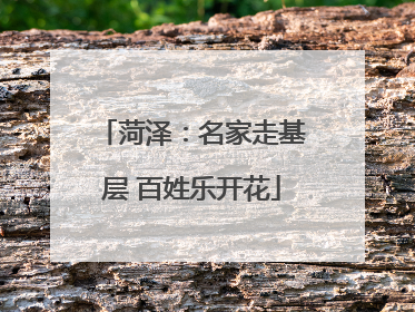 菏泽：名家走基层 百姓乐开花