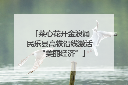 菜心花开金浪涌 民乐县高铁沿线激活“美丽经济”