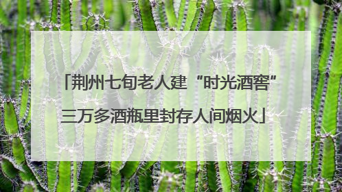 荆州七旬老人建“时光酒窖” 三万多酒瓶里封存人间烟火