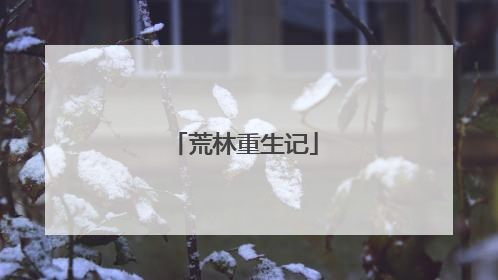 荒林重生记
