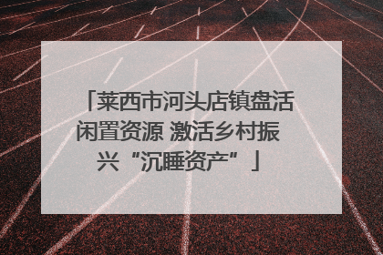 莱西市河头店镇盘活闲置资源 激活乡村振兴“沉睡资产”