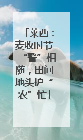 莱西：麦收时节“警”相随，田间地头护“农”忙