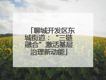 聊城开发区东城街道：“三链融合”激活基层治理新动能