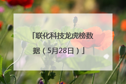 联化科技龙虎榜数据（5月28日）