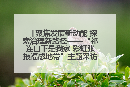 聚焦发展新动能 探索治理新路径——“祁连山下是我家 彩虹张掖福感地带”主题采访活动走进山丹