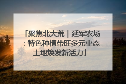 聚焦北大荒｜延军农场：特色种植带旺多元业态 土地焕发新活力