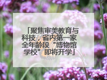 聚焦审美教育与科技，省内第一家全年龄段“博物馆学校”即将开学