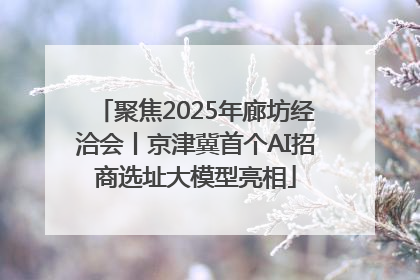 聚焦2025年廊坊经洽会丨京津冀首个AI招商选址大模型亮相