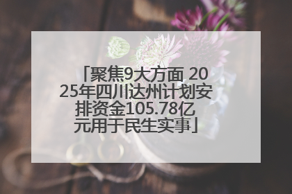聚焦9大方面 2025年四川达州计划安排资金105.78亿元用于民生实事