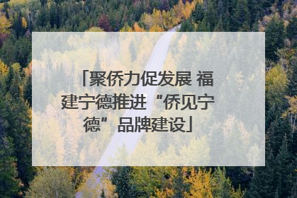 聚侨力促发展 福建宁德推进“侨见宁德”品牌建设