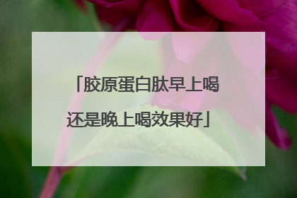 胶原蛋白肽早上喝还是晚上喝效果好