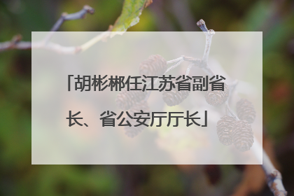 胡彬郴任江苏省副省长、省公安厅厅长